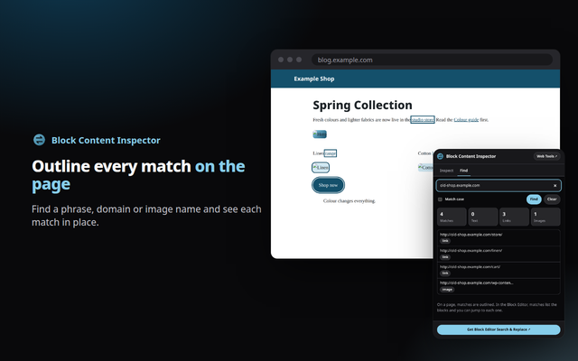 Block Content Inspector extension screenshot